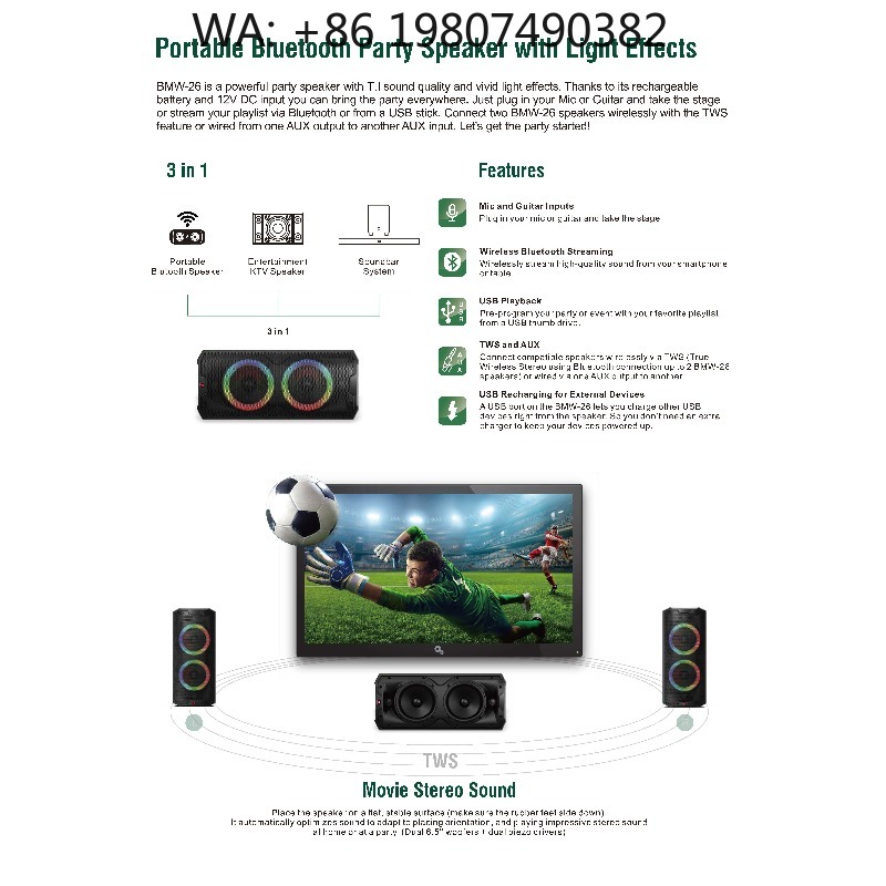 Woofer - Draagbare 6,5 inch actieve speakerbox, met