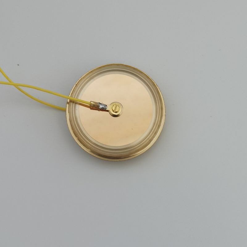M7 Verguld 32mm Grote Gouden D - Microphone Capsule recensie en prijs