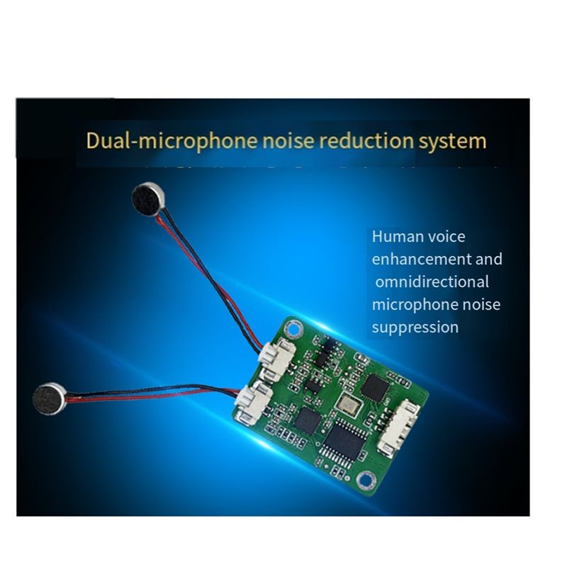 Matrix met dubbele microfoon e - Condenser Microphone Kit recensie en prijs
