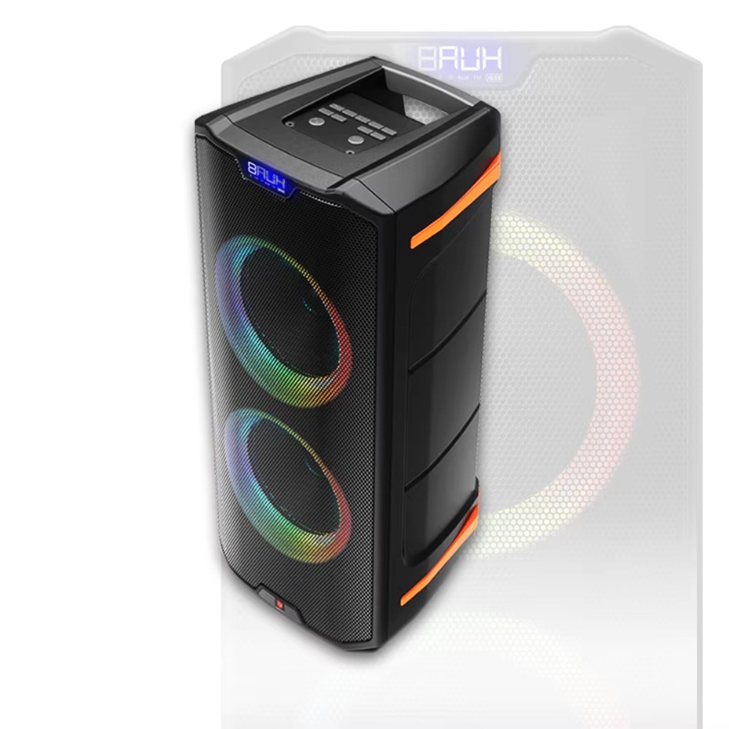 Draagbare 6,5 inch actieve spe - Woofer recensie en prijs