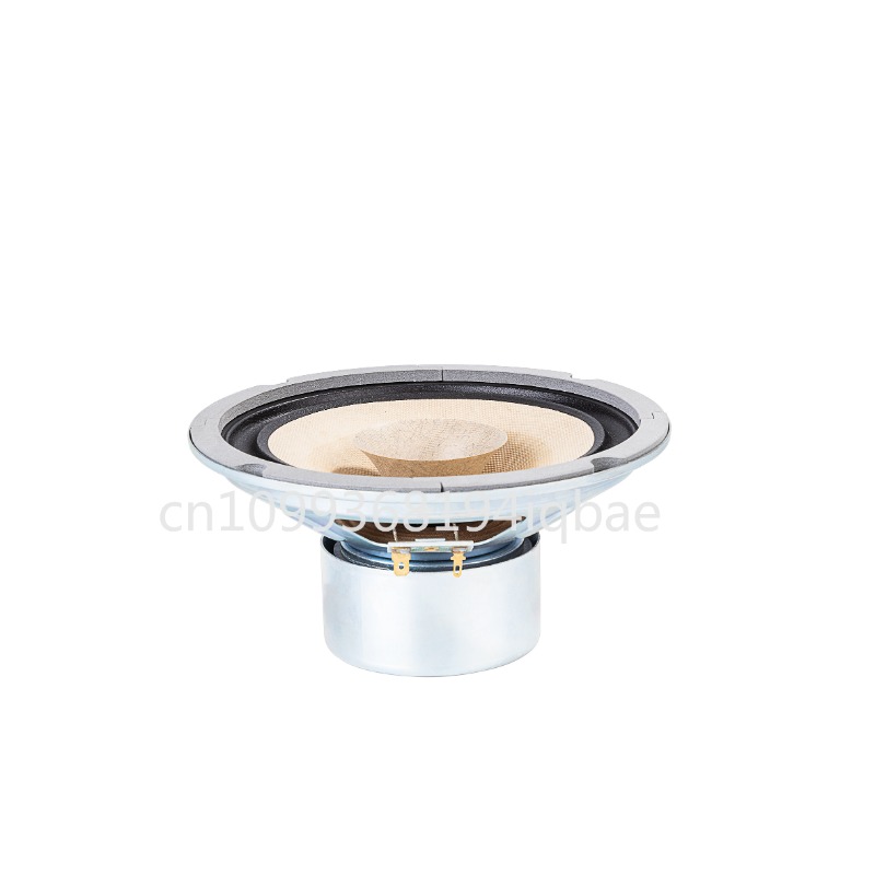 Een paar Lii Song 8-inch 8 ohm - Diy Speaker recensie en prijs