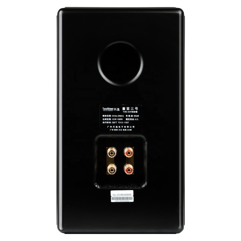 Hi-Fi boekenplankluidspreker 1 - Speaker Driver recensie en prijs