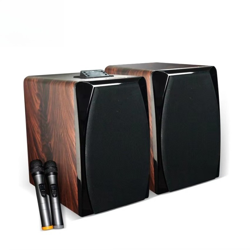 Hoogwaardige actieve karaoke b - Woofer recensie en prijs
