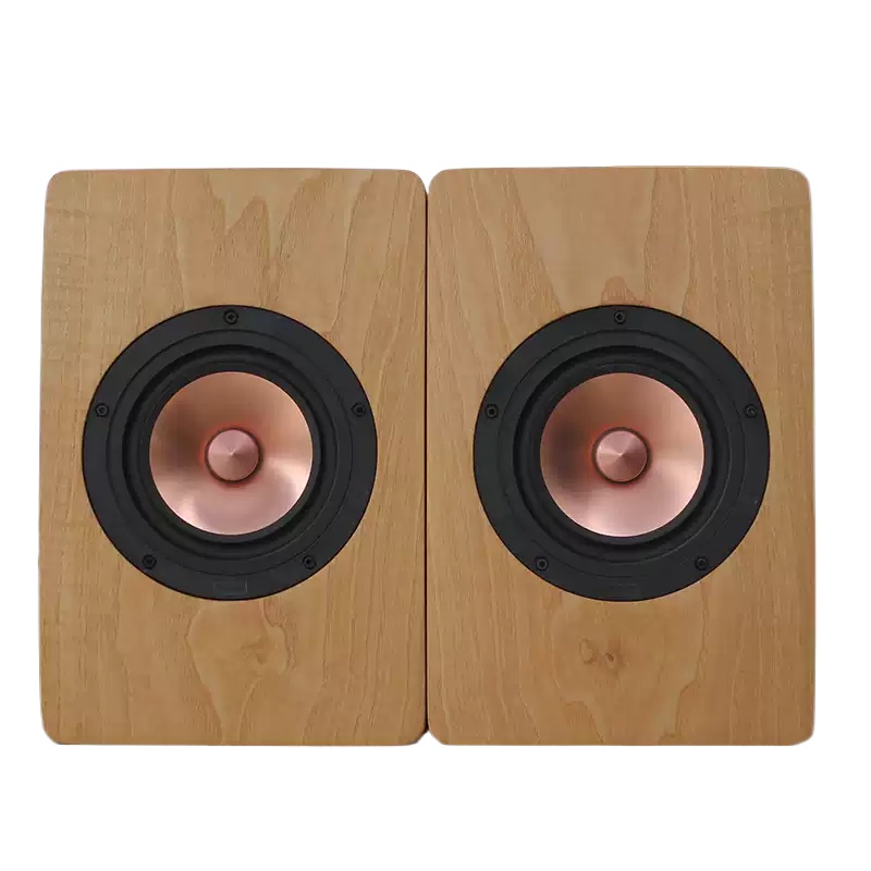 DZ‑06 5,25‑inch coaxiale luids - Speaker Driver recensie en prijs