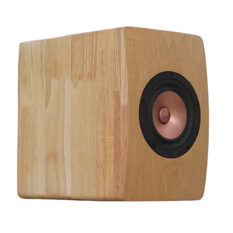 DZ‑06 5,25‑inch coaxiale luids - Speaker Driver recensie en prijs