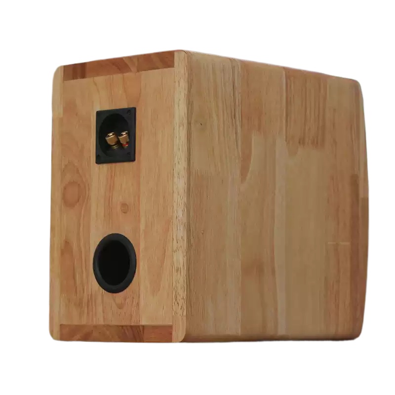 DZ‑06 5,25‑inch coaxiale luids - Speaker Driver recensie en prijs